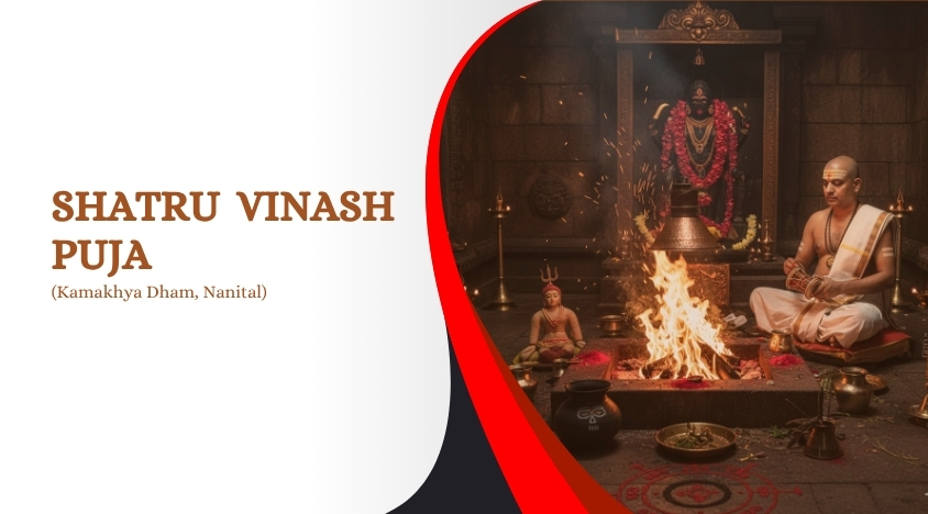 Image for Shatru Vinash Puja
